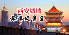 日处女的无毛馒头逼中国陕西-西安城墙旅游风景区